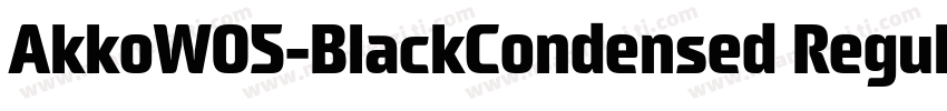 AkkoW05-BlackCondensed Regular字体转换